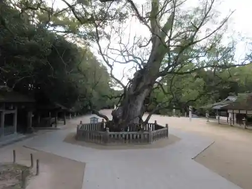 大山祇神社(愛媛県)