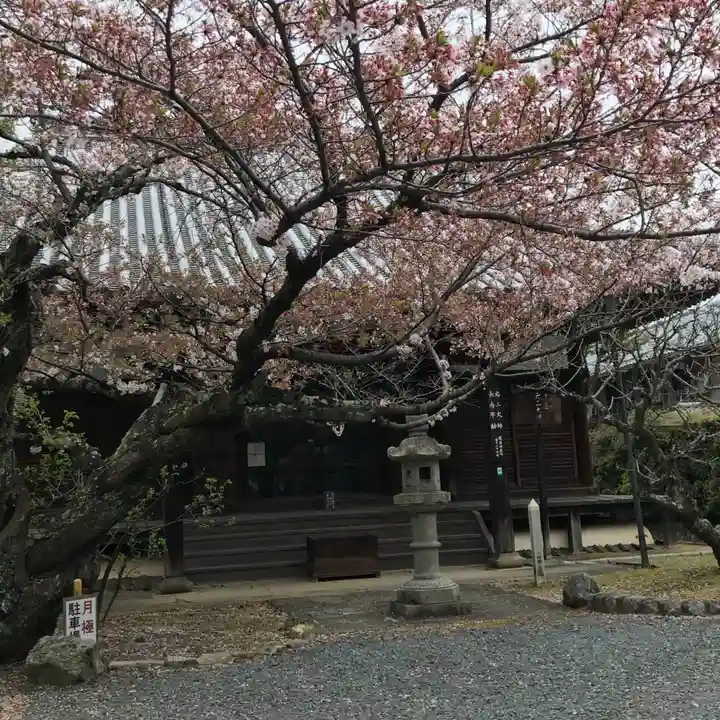 真正極楽寺(真如堂)の自然