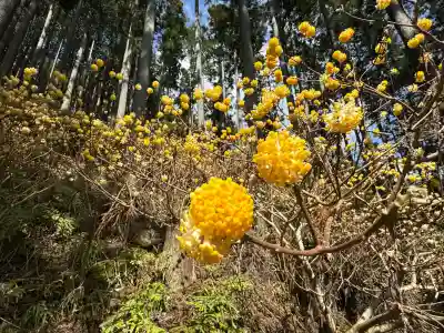 ビオトピア 弘法大師像の{uncategorized: "未分類", other: "その他", undefined: "問題あり", building: "その他建物", grave: "お墓", sacred_gate: "鳥居", guardian: "狛犬", statue: "像", buddha: "仏像", history: "歴史", nature: "自然", garden: "庭園", animal: "動物", pagoda: "塔", temizu: "手水舎", mountain_gate: "山門・神門", sanctuary: "本殿・本堂", subordinate: "末社・摂社", art: "芸術", scenery: "景色", jizo: "地蔵", ema: "絵馬", goshuin: "御朱印", omikuji: "おみくじ", items: "授与品その他", amulet: "お守り", goshuincho: "御朱印帳", eats: "食事", festival: "お祭り", votive_dance: "神楽", shichigosan: "七五三参", wedding: "結婚式", experience: "体験その他", initially: "初詣", around: "周辺", anti_infection: "感染症対策"}