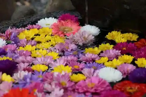 大鏑神社の手水