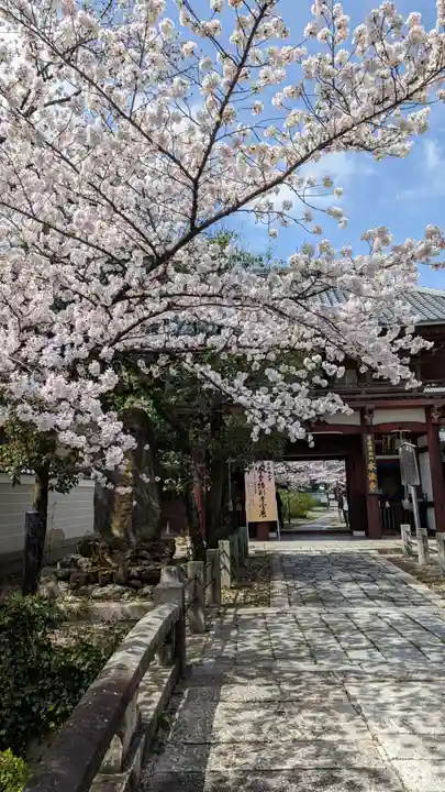 本法寺(京都府)