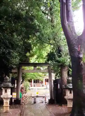 荻窪白山神社(東京都)