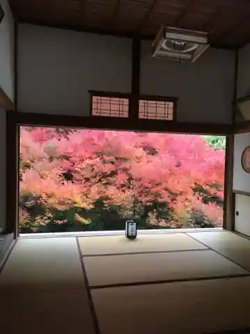 安國寺の本殿・本堂