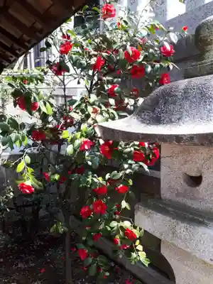 五條天神社のその他建物