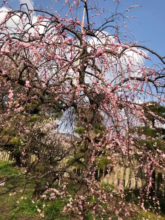 曽根天満宮(兵庫県)