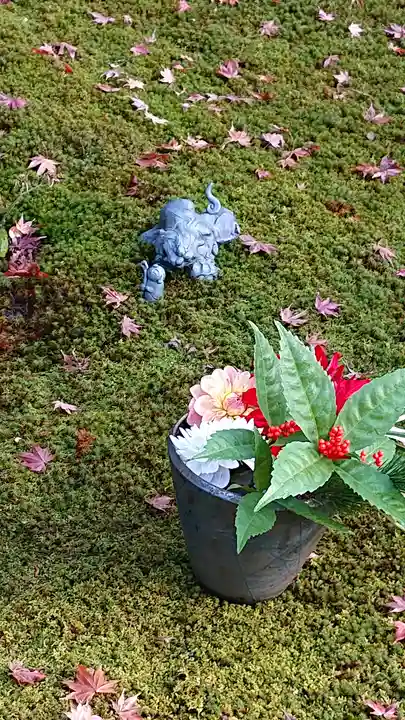 勝林寺(京都府)