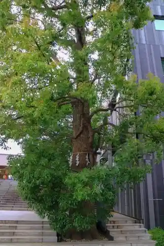 赤城神社のその他建物
