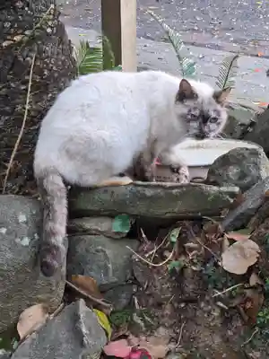 鵜戸神社(大御神社境内社)(宮崎県)