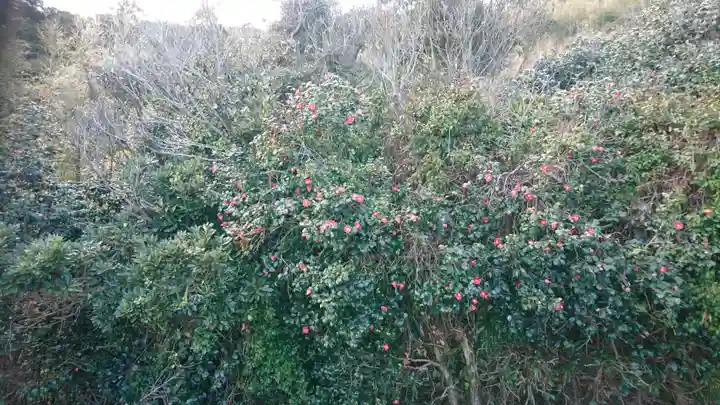 伊射波神社の自然