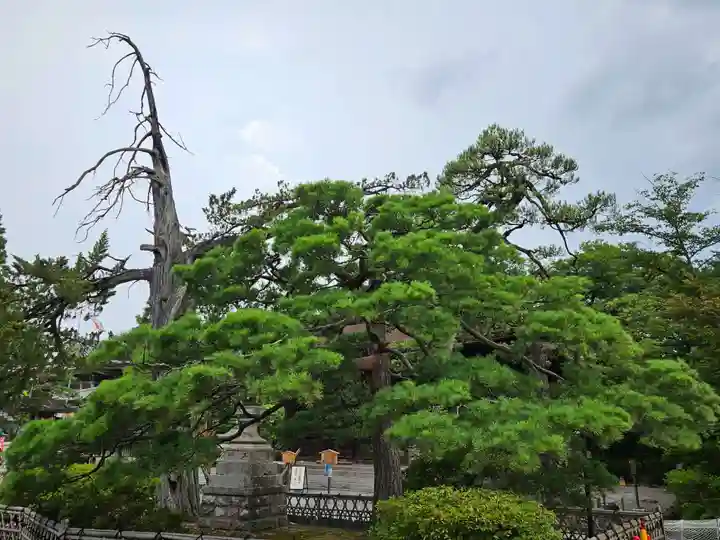 善光寺(長野県)