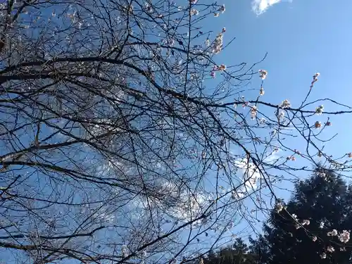 今市瀧尾神社の自然