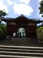 護国寺の山門