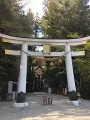 宝登山神社の鳥居