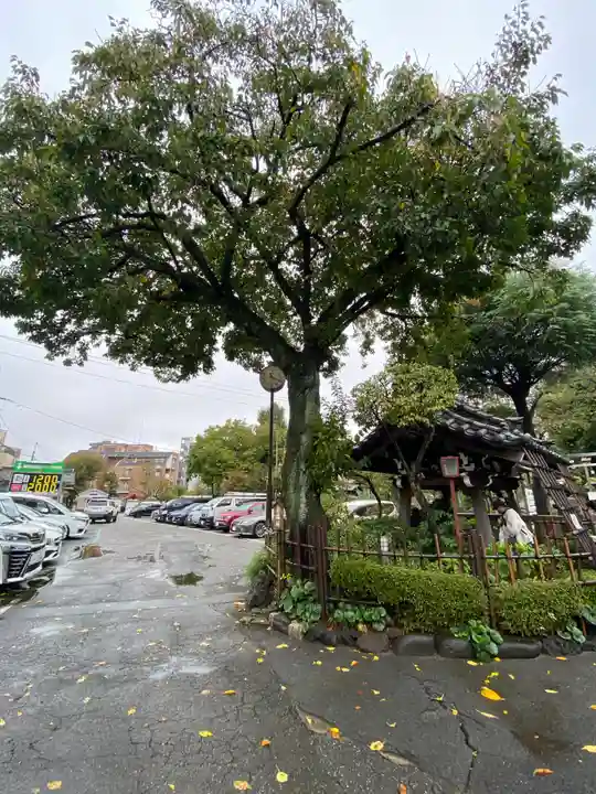 白山神社(東京都)