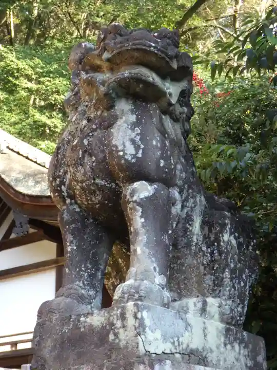宇治上神社の狛犬
