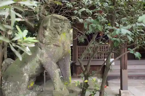 柳川総鎮守 日吉神社の狛犬