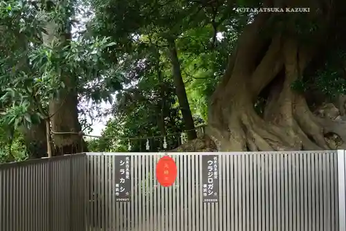 春日神社(神奈川県)