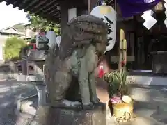 中川八幡神社の狛犬