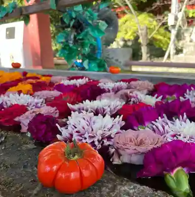 津島神社の手水舎
