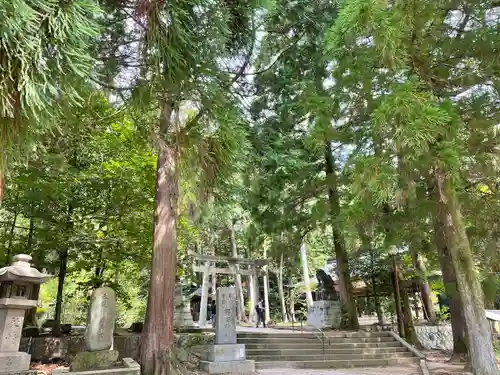 野田神社(山口県)