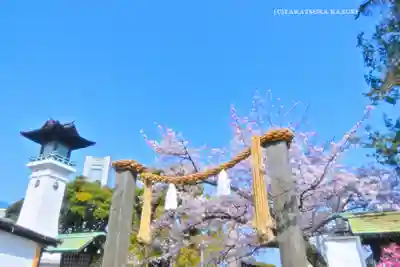 伊勢山皇大神宮(神奈川県)