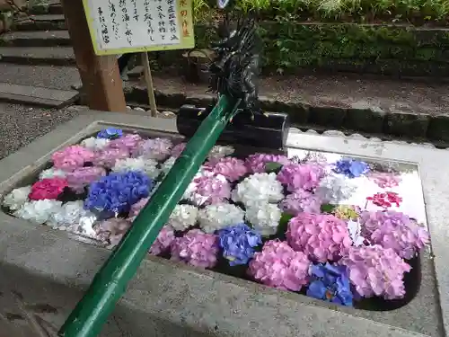 事任八幡宮の手水舎