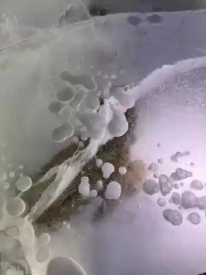 士幌神社の{uncategorized: "未分類", other: "その他", undefined: "問題あり", building: "その他建物", grave: "お墓", sacred_gate: "鳥居", guardian: "狛犬", statue: "像", buddha: "仏像", history: "歴史", nature: "自然", garden: "庭園", animal: "動物", pagoda: "塔", temizu: "手水舎", mountain_gate: "山門・神門", sanctuary: "本殿・本堂", subordinate: "末社・摂社", art: "芸術", scenery: "景色", jizo: "地蔵", ema: "絵馬", goshuin: "御朱印", omikuji: "おみくじ", items: "授与品その他", amulet: "お守り", goshuincho: "御朱印帳", eats: "食事", festival: "お祭り", votive_dance: "神楽", shichigosan: "七五三参", wedding: "結婚式", experience: "体験その他", initially: "初詣", around: "周辺", anti_infection: "感染症対策"}