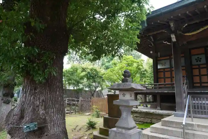 西向天神社(東京都)
