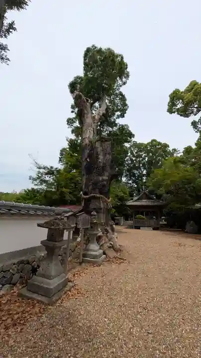 日吉神社(京都府)