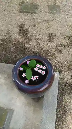 神館神社の手水舎