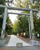 諏訪八幡神社の鳥居