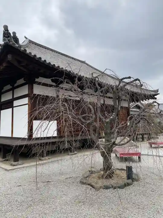 額安寺(奈良県)
