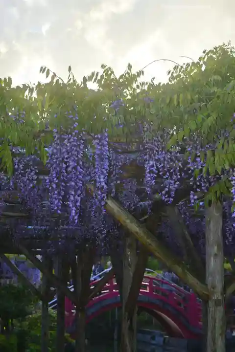 亀戸天神社(東京都)