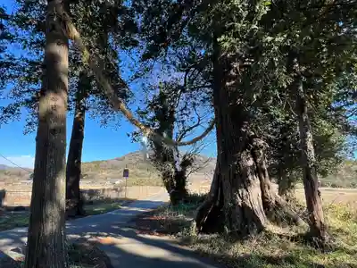 鴨大神御子神主玉神社(茨城県)
