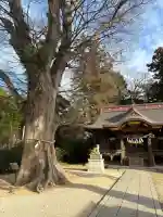 素鵞神社の{uncategorized: "未分類", other: "その他", undefined: "問題あり", building: "その他建物", grave: "お墓", sacred_gate: "鳥居", guardian: "狛犬", statue: "像", buddha: "仏像", history: "歴史", nature: "自然", garden: "庭園", animal: "動物", pagoda: "塔", temizu: "手水舎", mountain_gate: "山門・神門", sanctuary: "本殿・本堂", subordinate: "末社・摂社", art: "芸術", scenery: "景色", jizo: "地蔵", ema: "絵馬", goshuin: "御朱印", omikuji: "おみくじ", items: "授与品その他", amulet: "お守り", goshuincho: "御朱印帳", eats: "食事", festival: "お祭り", votive_dance: "神楽", shichigosan: "七五三参", wedding: "結婚式", experience: "体験その他", initially: "初詣", around: "周辺", anti_infection: "感染症対策"}