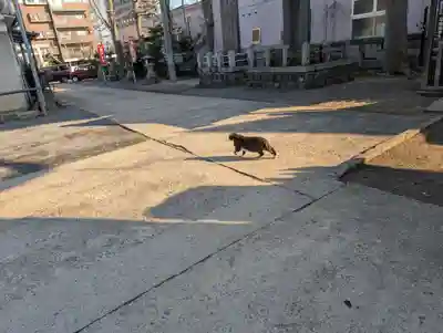 阿邪訶根神社(福島県)