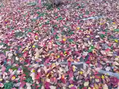 日吉神社(福井県)