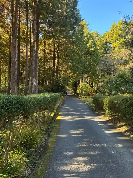 九頭龍神社本宮(神奈川県)
