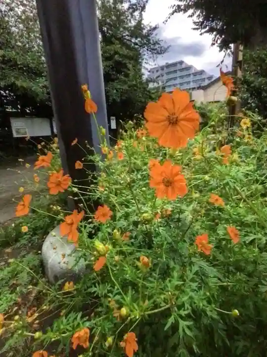 鷺宮八幡神社(東京都)