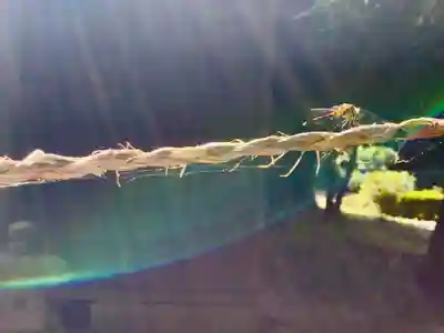 火皇子神社(千葉県)