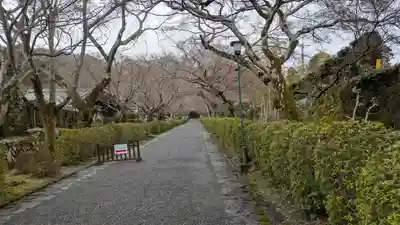 西教寺(滋賀県)