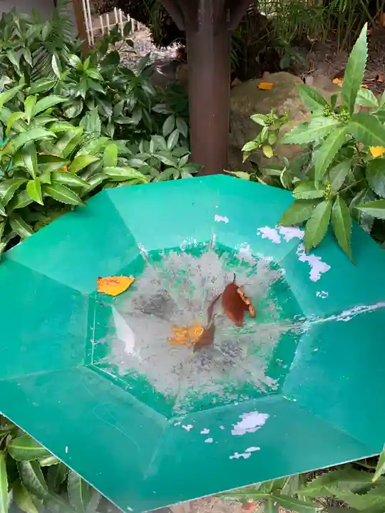 真光院のその他建物