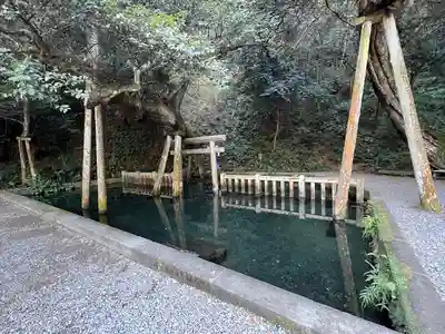 鹿島神宮(茨城県)