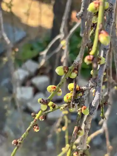 正覚寺(兵庫県)
