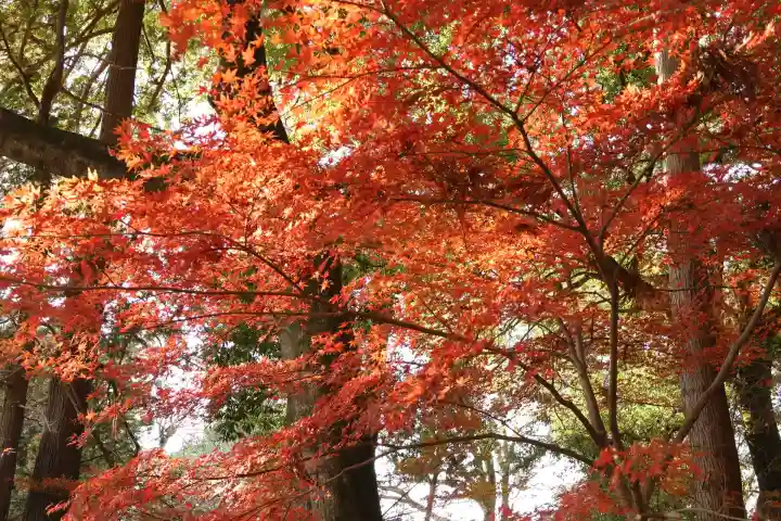 間々田八幡宮(栃木県)