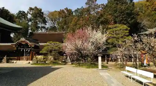 梅宮大社(京都府)