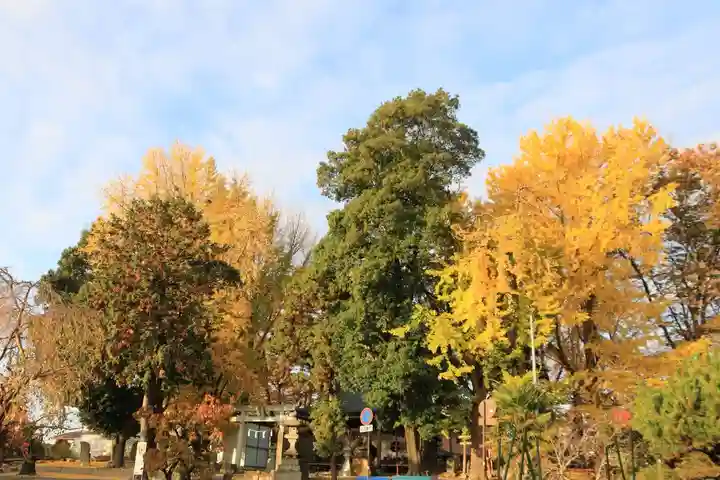 熊野福藏神社の自然