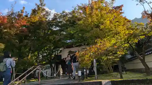 禅林寺（永観堂）(京都府)