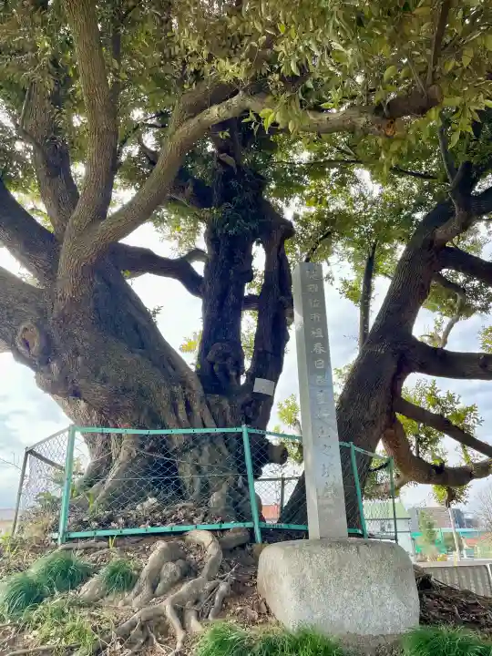 最勝院の{uncategorized: "未分類", other: "その他", undefined: "問題あり", building: "その他建物", grave: "お墓", sacred_gate: "鳥居", guardian: "狛犬", statue: "像", buddha: "仏像", history: "歴史", nature: "自然", garden: "庭園", animal: "動物", pagoda: "塔", temizu: "手水舎", mountain_gate: "山門・神門", sanctuary: "本殿・本堂", subordinate: "末社・摂社", art: "芸術", scenery: "景色", jizo: "地蔵", ema: "絵馬", goshuin: "御朱印", omikuji: "おみくじ", items: "授与品その他", amulet: "お守り", goshuincho: "御朱印帳", eats: "食事", festival: "お祭り", votive_dance: "神楽", shichigosan: "七五三参", wedding: "結婚式", experience: "体験その他", initially: "初詣", around: "周辺", anti_infection: "感染症対策"}