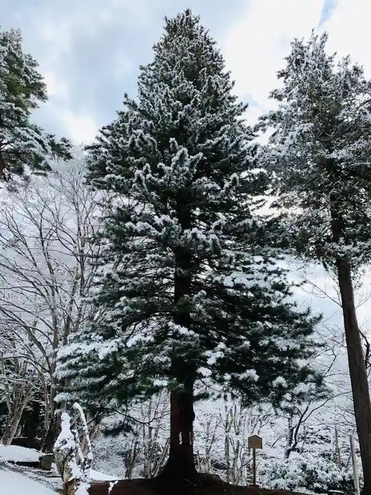 土津神社|こどもと出世の神さまの自然